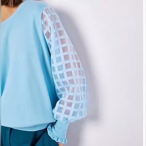 APRICOT 🍑- Light Blue Sheer-Sleeve Women's Top